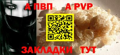 шишки Кингисепп