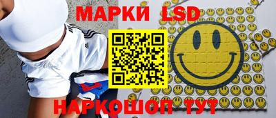 шишки Кингисепп