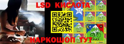 шишки Кингисепп