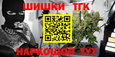 шишки Кингисепп