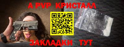 шишки Кингисепп