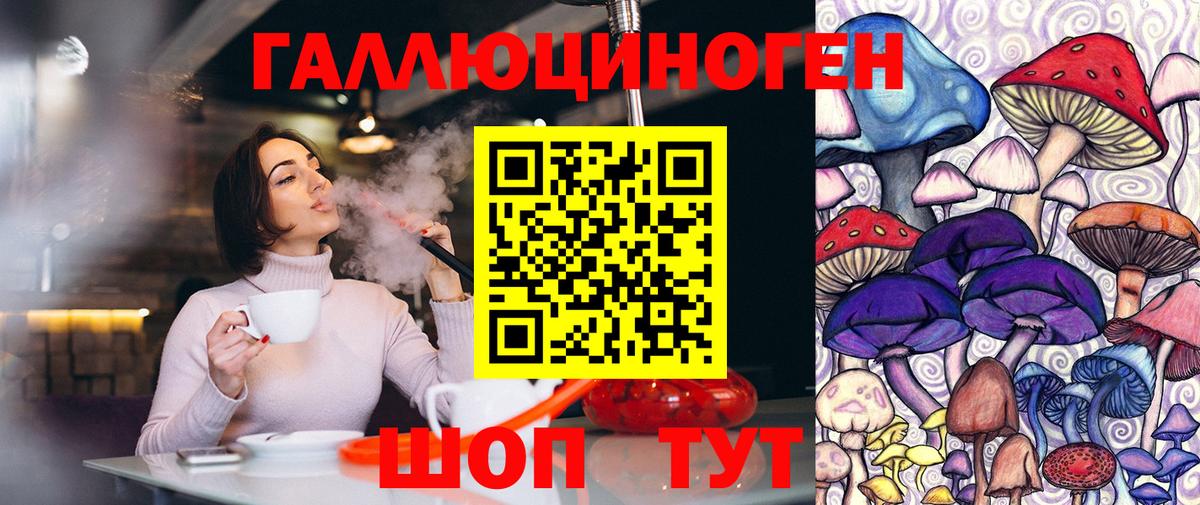 Псилоцибиновые грибы Psilocybine cubensis Комсомольск-на-Амуре